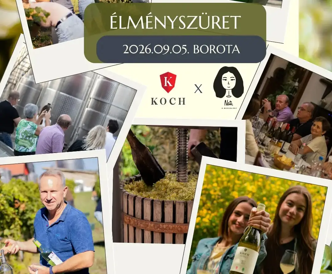 Koch&Nati Élményszüret 2026