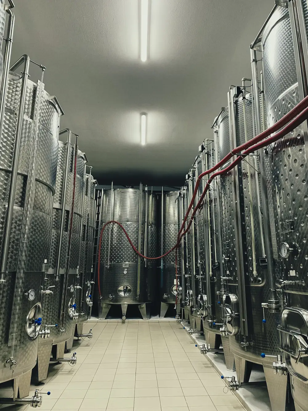 Ac&eacute;l bortart&aacute;lyok Borot&aacute;n