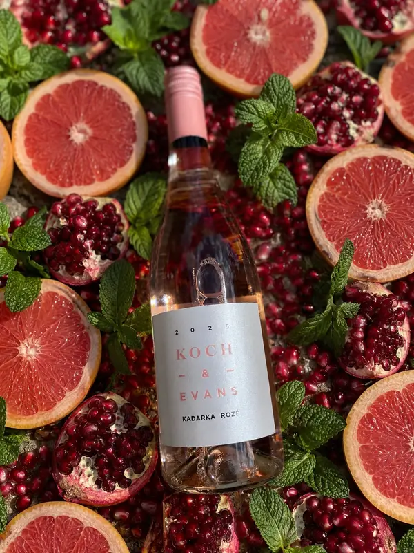 Koch and Evans Kadarka Rosé