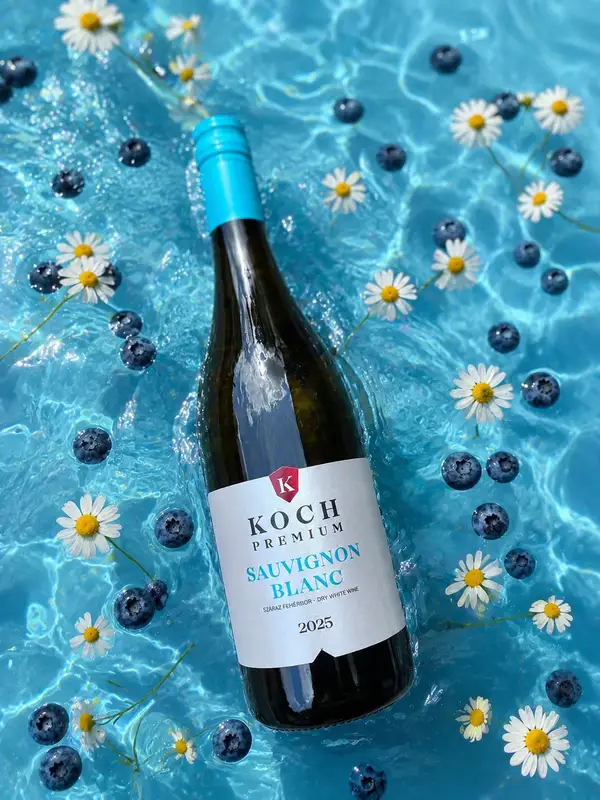 Koch Sauvignon Blanc fehérbor