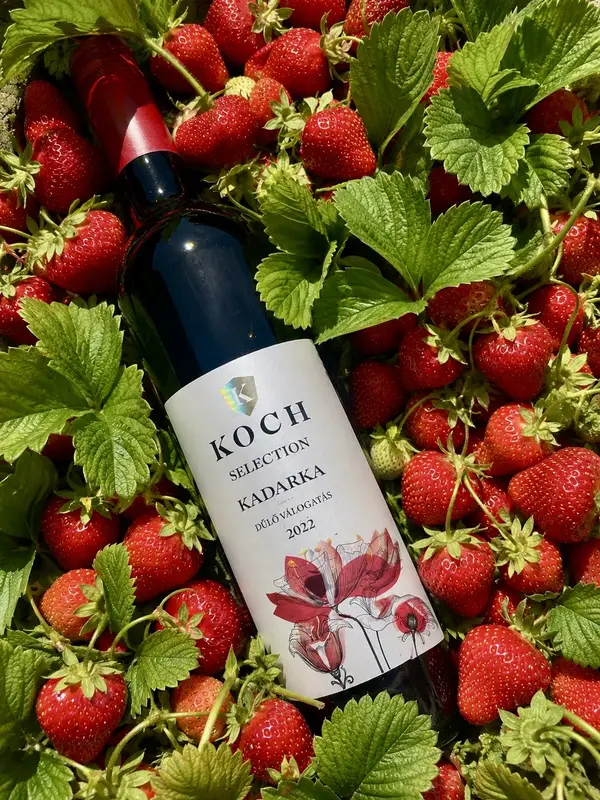Koch Selection Kadarka vörösbor