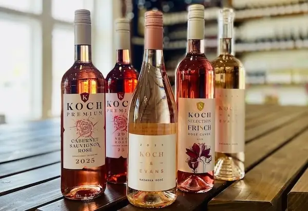 Koch rosé borok